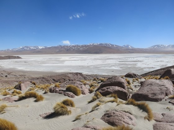 salar